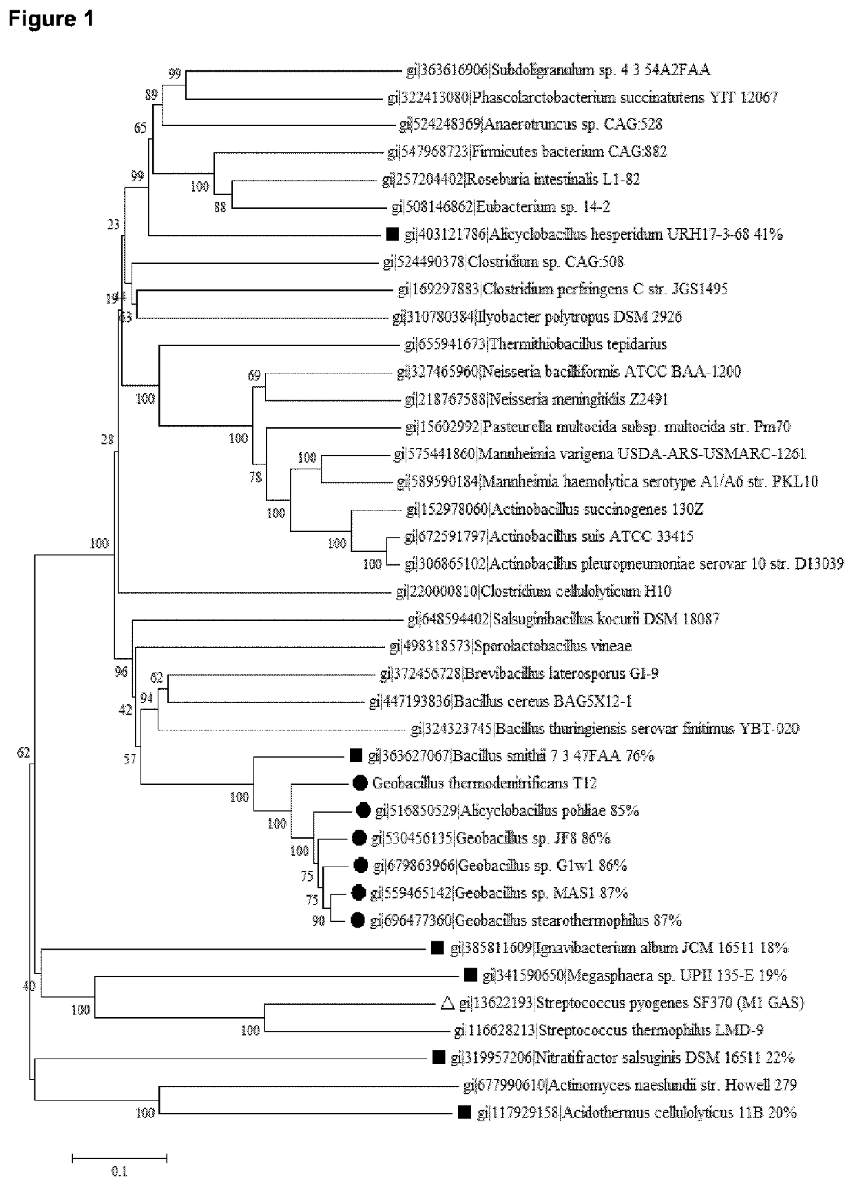 Thermostable Cas9 nucleases