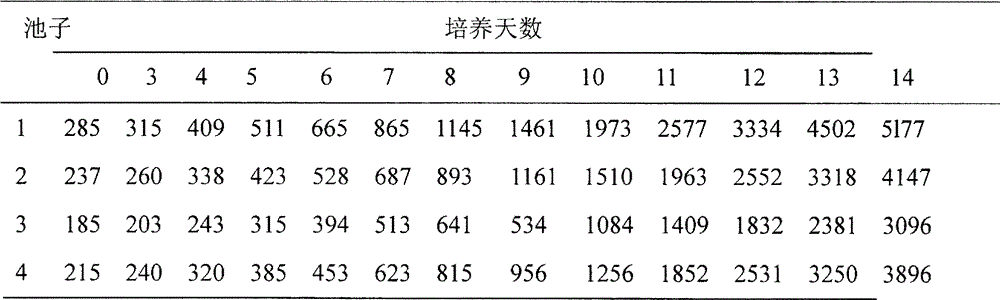 Intensive production method for Mongolian Moina