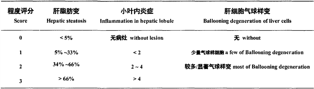 Nitazoxanide derivative and medical application thereof