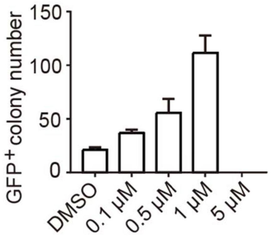 Application of R406 in promotion of somatic cell reprogramming, and reprogramming culture medium and method forpromotion of somatic cell reprogramming