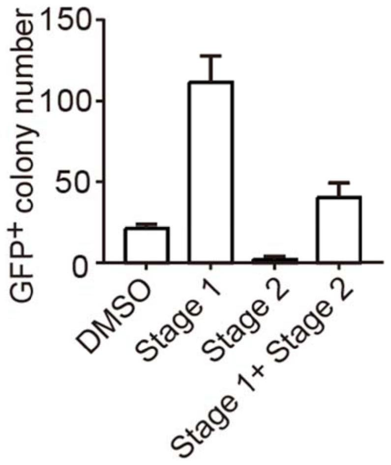 Application of R406 in promotion of somatic cell reprogramming, and reprogramming culture medium and method forpromotion of somatic cell reprogramming