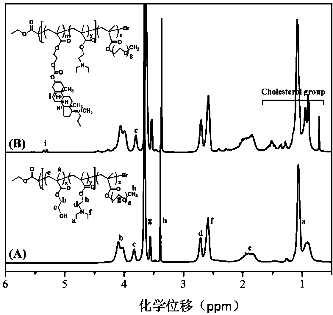 Cholesterol modified amphiphilic pH response pennicuius copolymer as well as preparation and micelle of copolymer