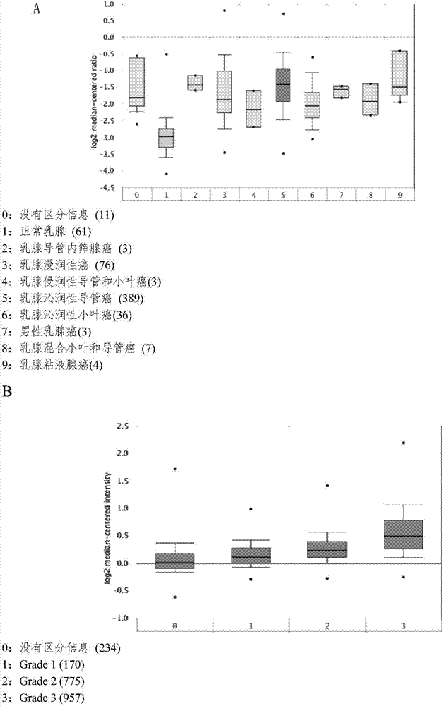 Breast cancer marker and application thereof