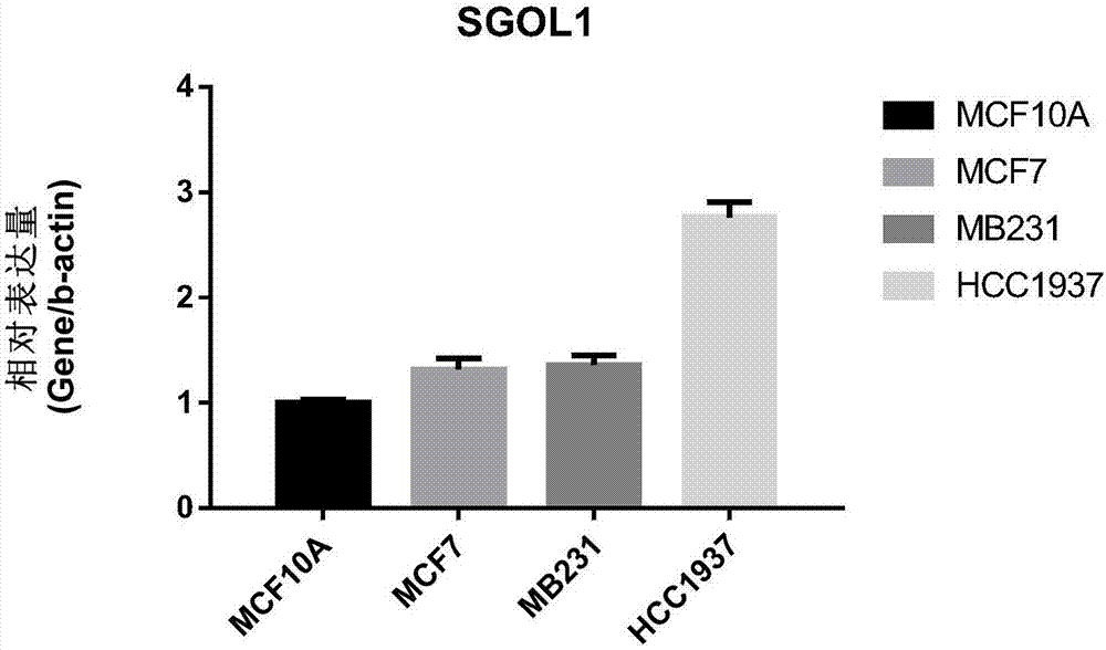 Breast cancer marker and application thereof