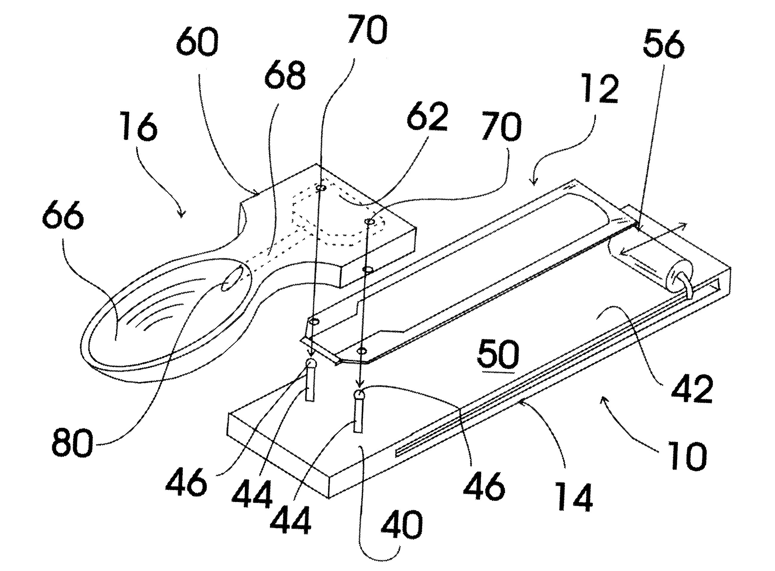 Food dispensing feeding system