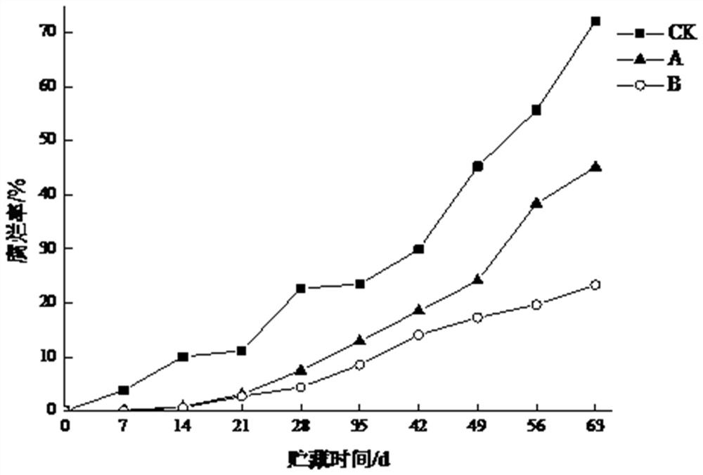 Thymol composite biological coating preservative and preparation method and application thereof