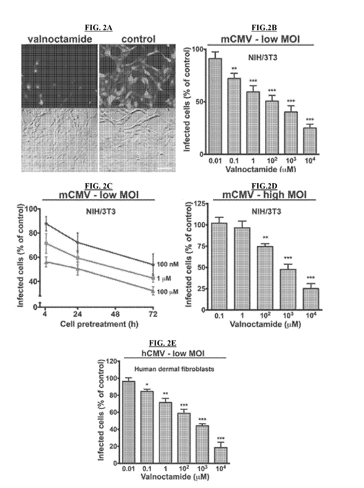 Compositions and Methods for Treating Viral Infection in Mammals