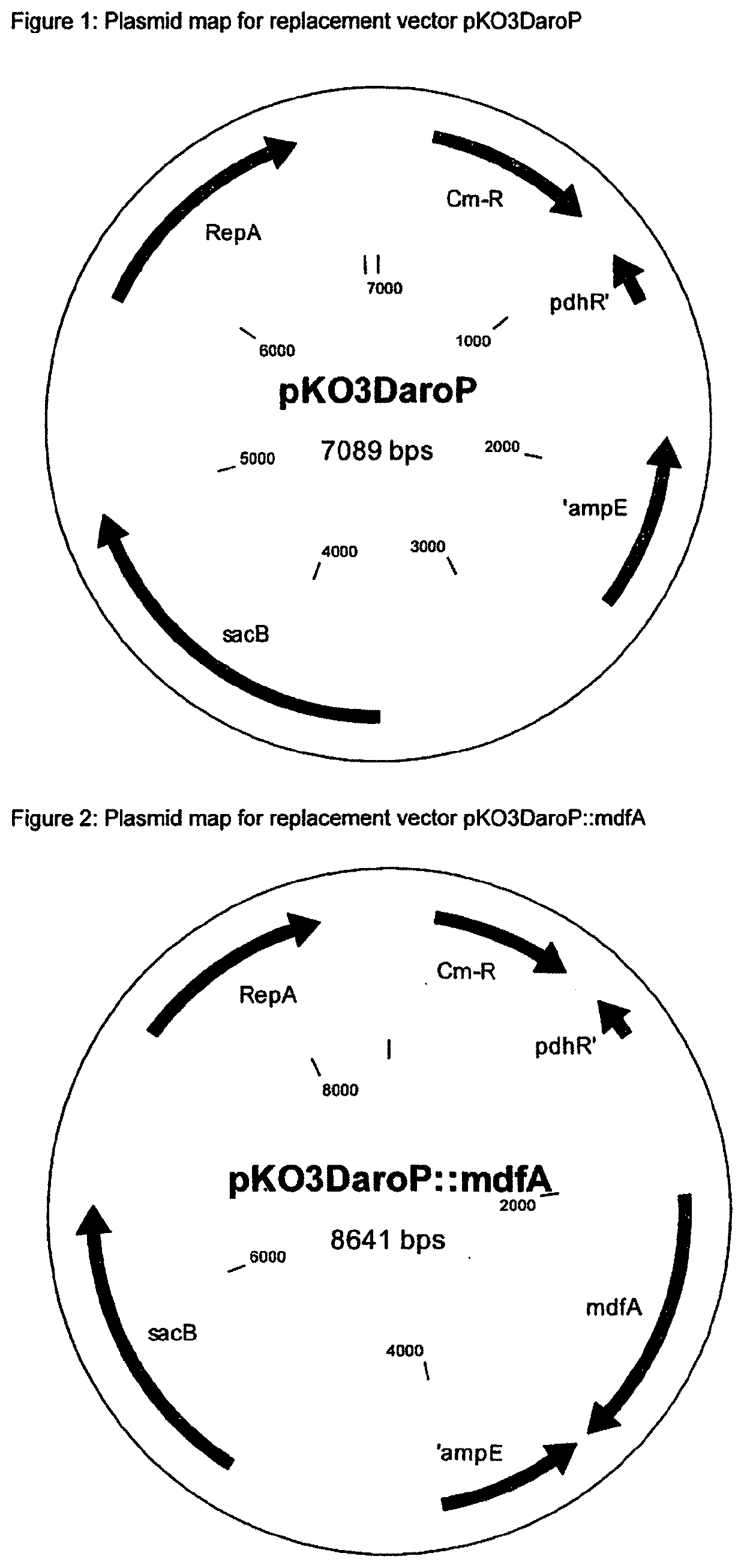 Method for producing l-tryptophan using improved strains of the enterobacteriaceae family