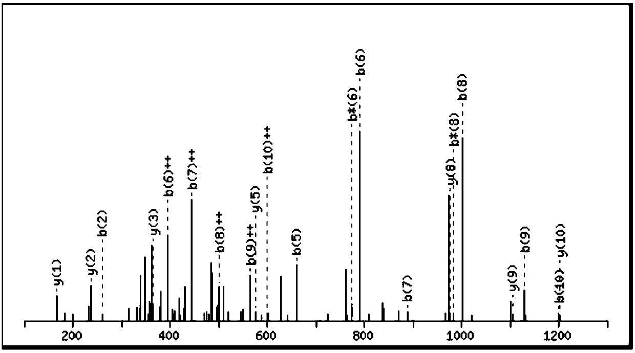 Biologically active polypeptide YPQRDMPIQAF and preparation method and application thereof