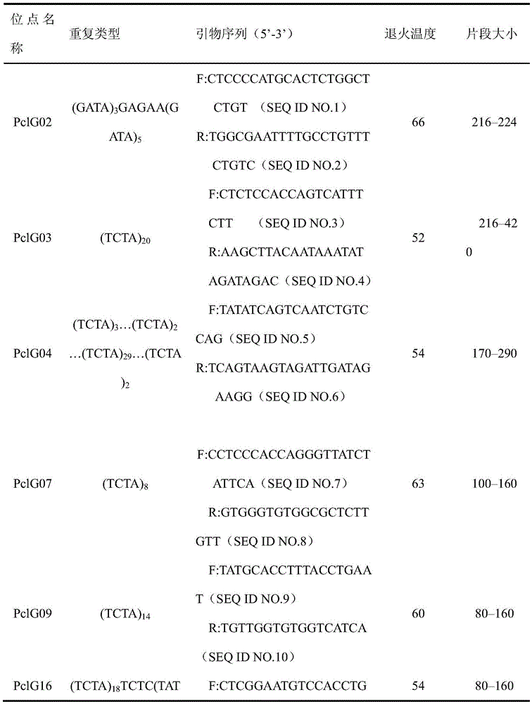 Method used for identifying different families of procambarus clarkii