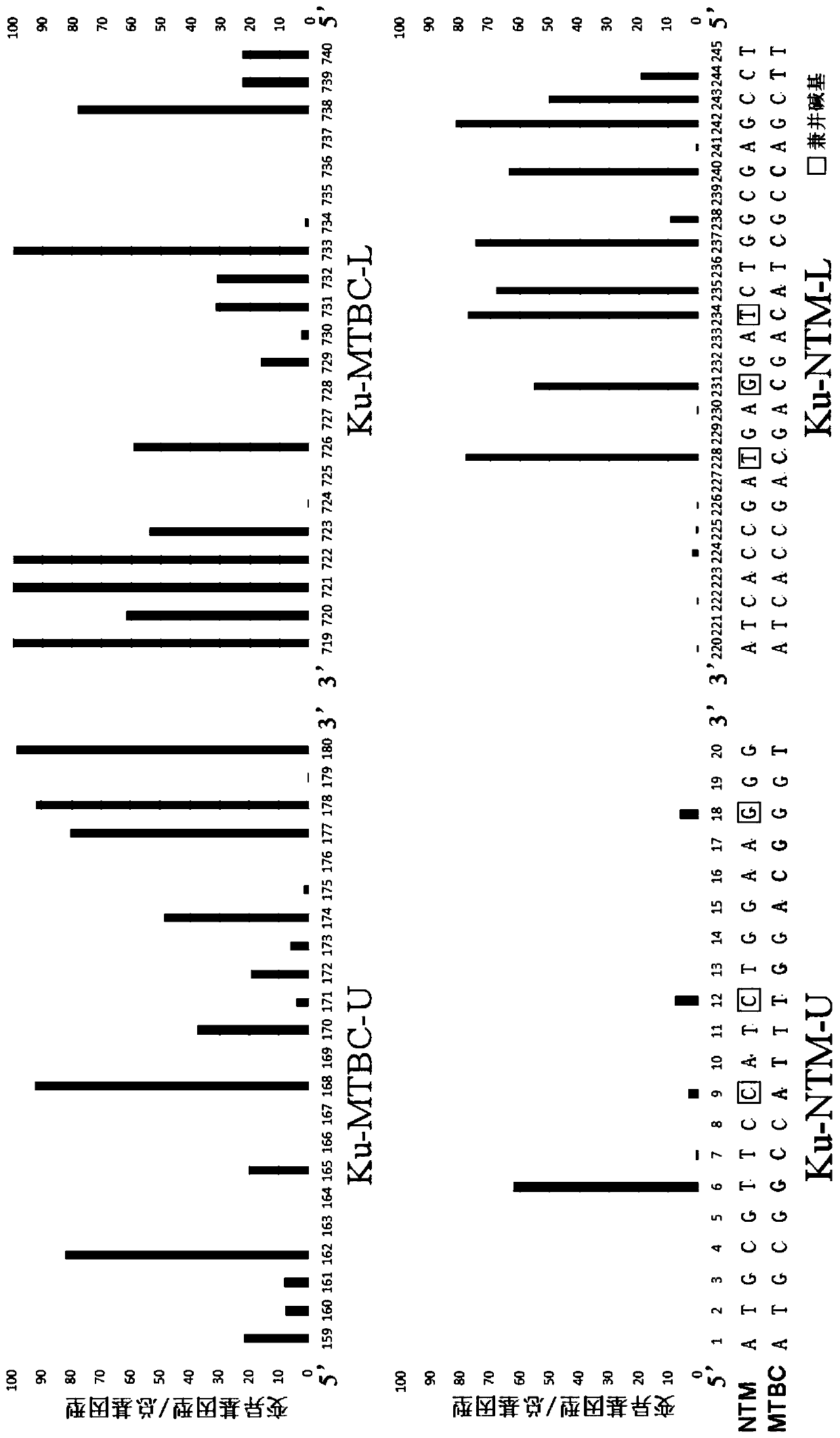 Application of mycobacteria Ku protein