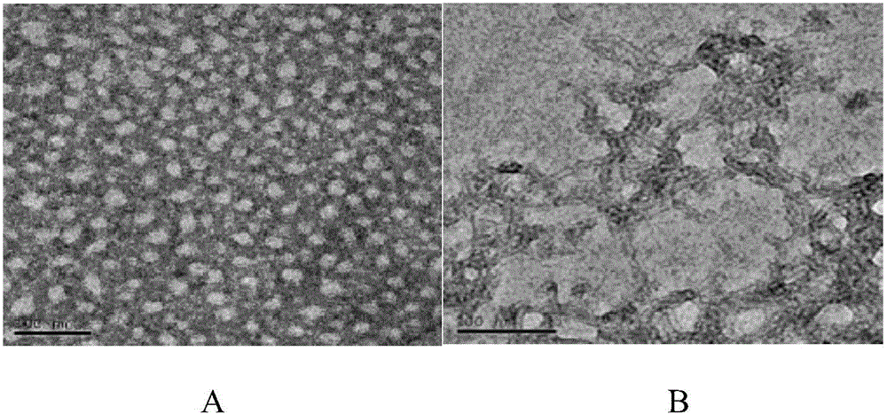 Bispyrene-based pH (Potential of Hydrogen)-response self-assembly polypeptide nano material, and preparation method and application thereof