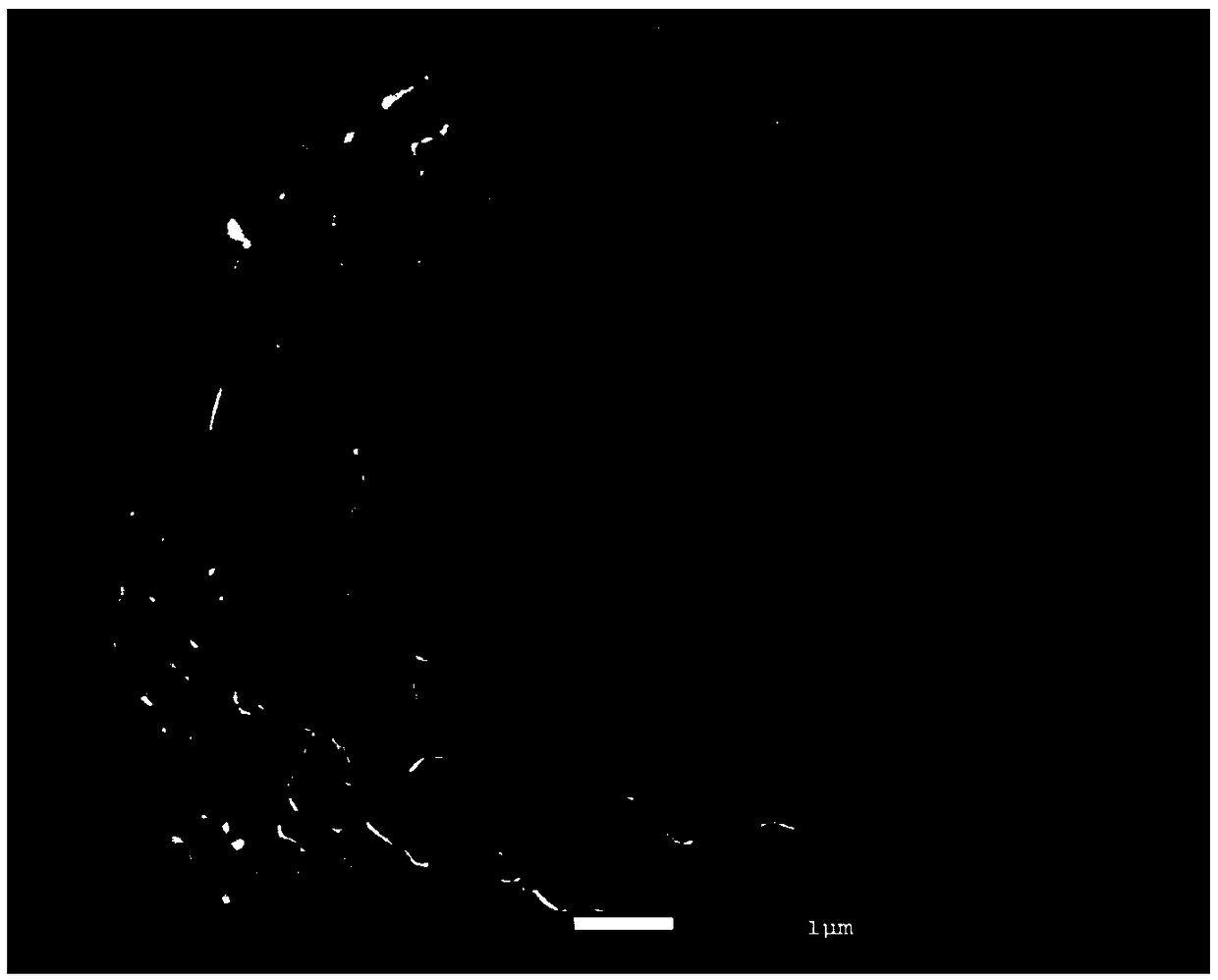 Composite positive electrode material of lithium ion battery and preparation method of composite positive electrode material