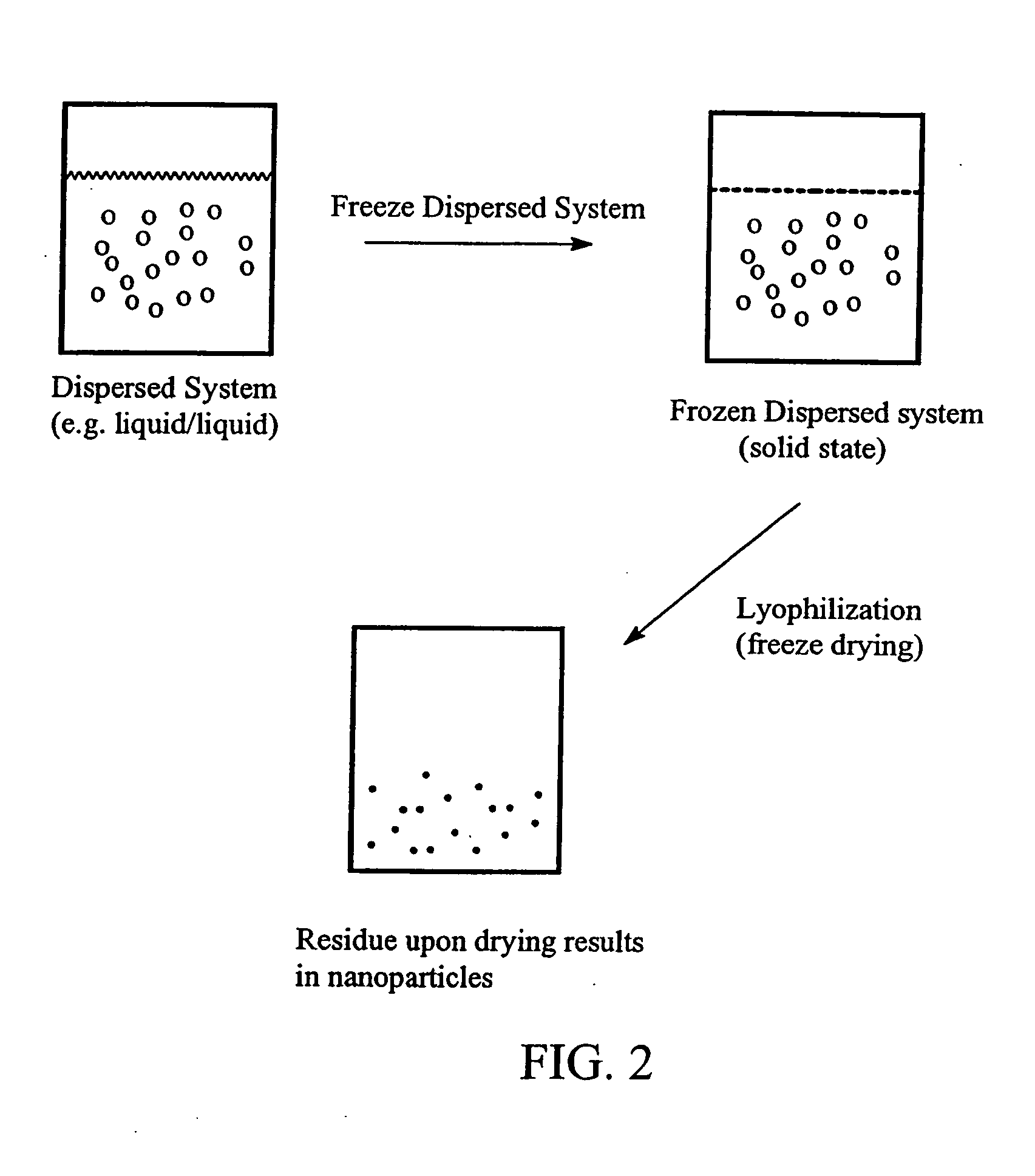 Preparation of submicron sized nanoparticles via dispersion lyophilization