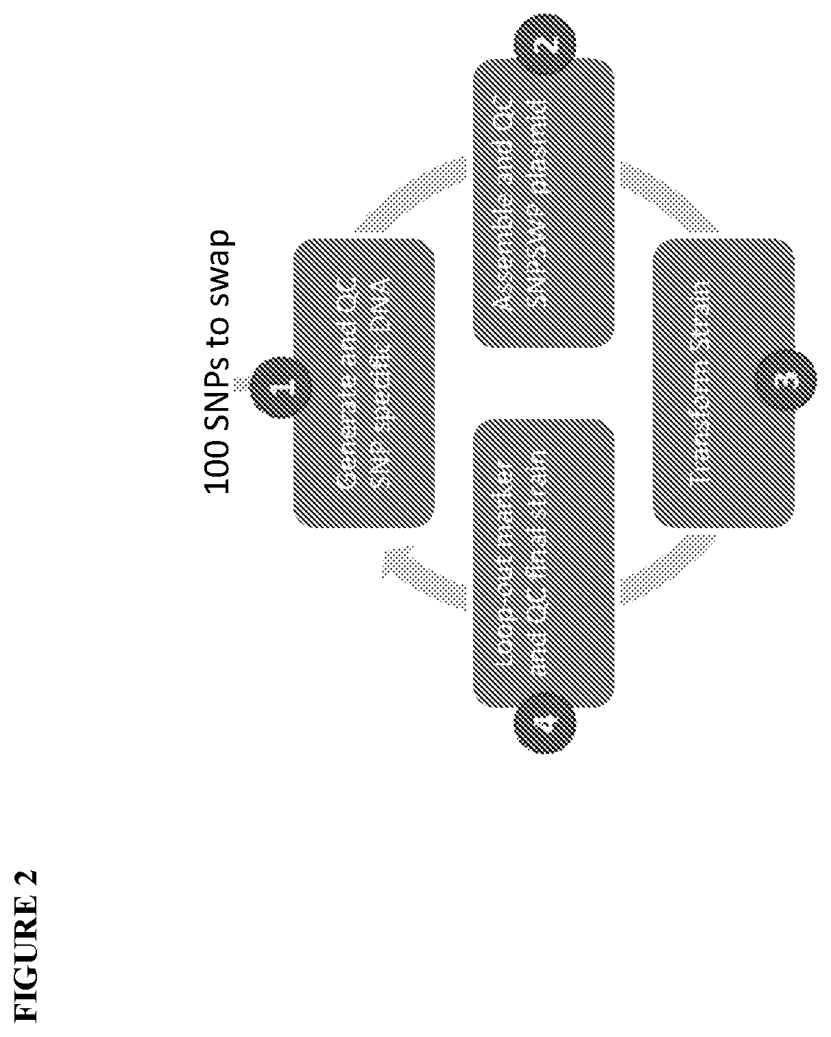 High throughput transposon mutagenesis