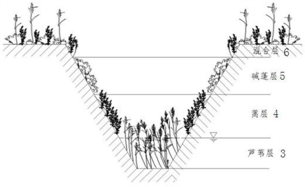 A saline-alkali land ecological drainage ditch structure and its rapid construction method