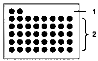 Needle biopsy tissue chip