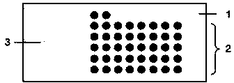 Needle biopsy tissue chip