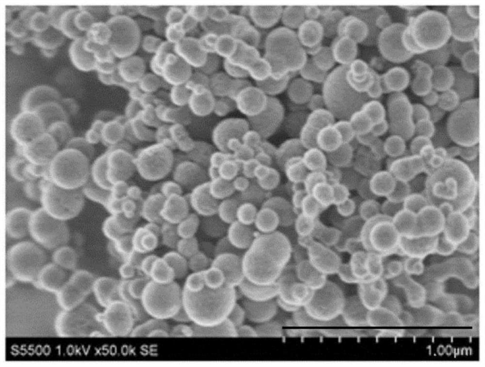 Silicon fine particles and method for producing same