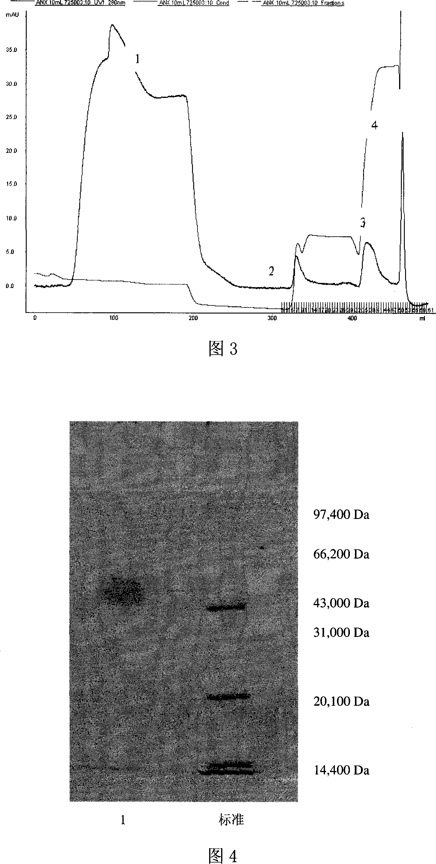 Exendin or its analogs with polyethylene group and its preparation and application