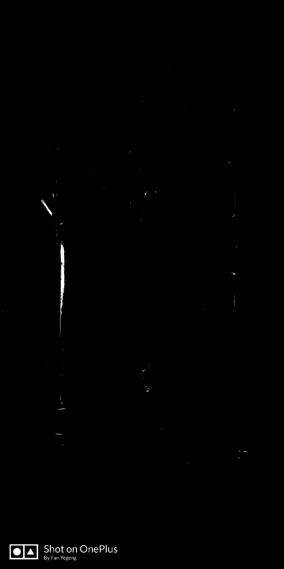 Method for field doubling propagation of healthy sugarcane seedlings