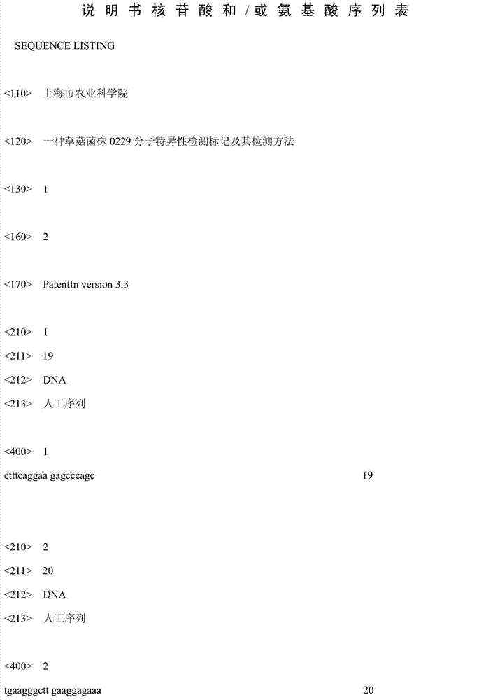 Volvariella volvacea strain 0229 molecule specific detection markers and detection method using the same