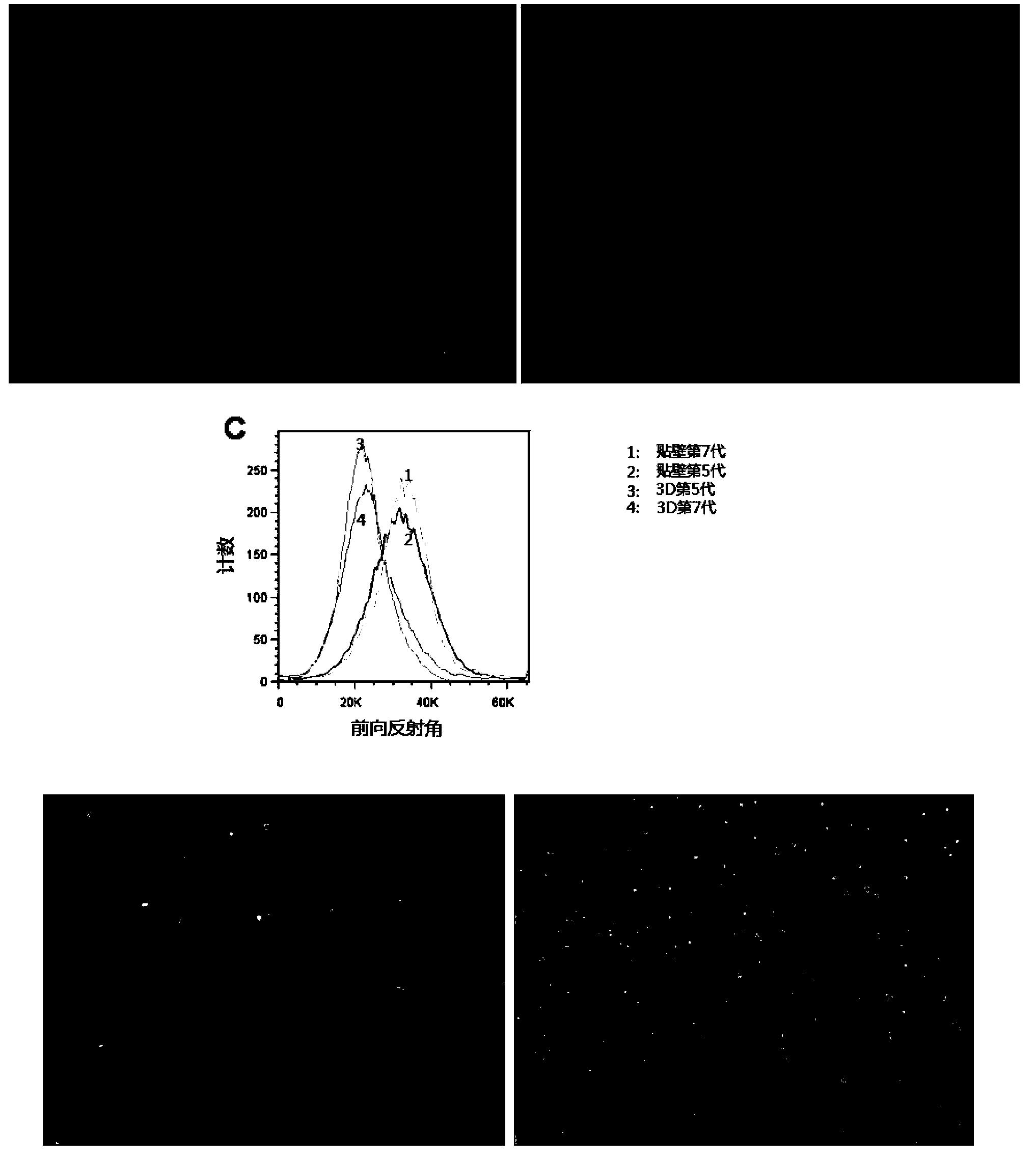 Method for restoring totipotency of mesenchymal stem cell