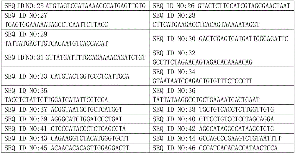 Method and device for detecting copy number variation based on amplicon next generation sequencing