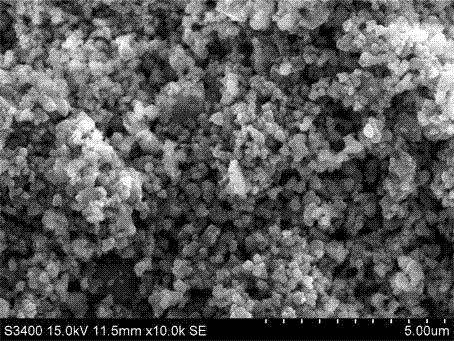 Method for preparing MgAlON transparent ceramic bisque by gel casting and molding