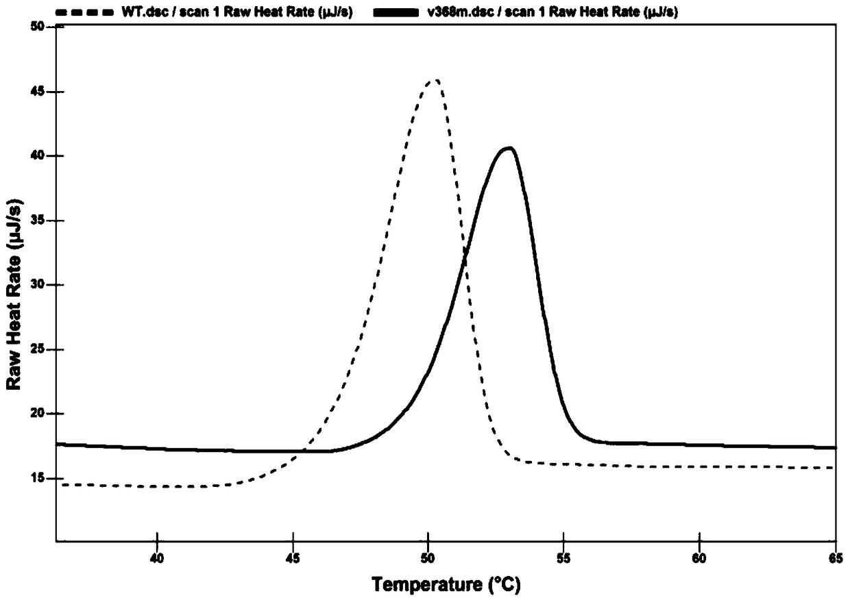 A creatine hydrolase mutant with improved thermostability