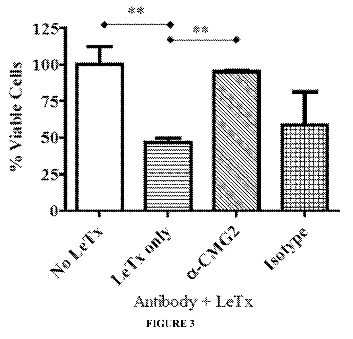 RNA interference-based therapeutic against anthrax