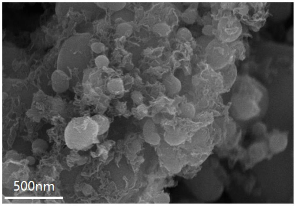 Grid-structured carbon-coated lithium iron phosphate nanoparticles and preparation method and application thereof