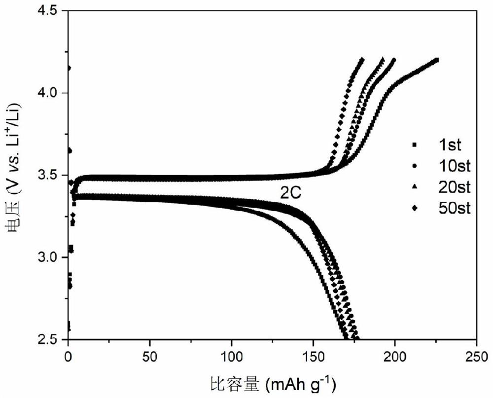 Grid-structured carbon-coated lithium iron phosphate nanoparticles and preparation method and application thereof