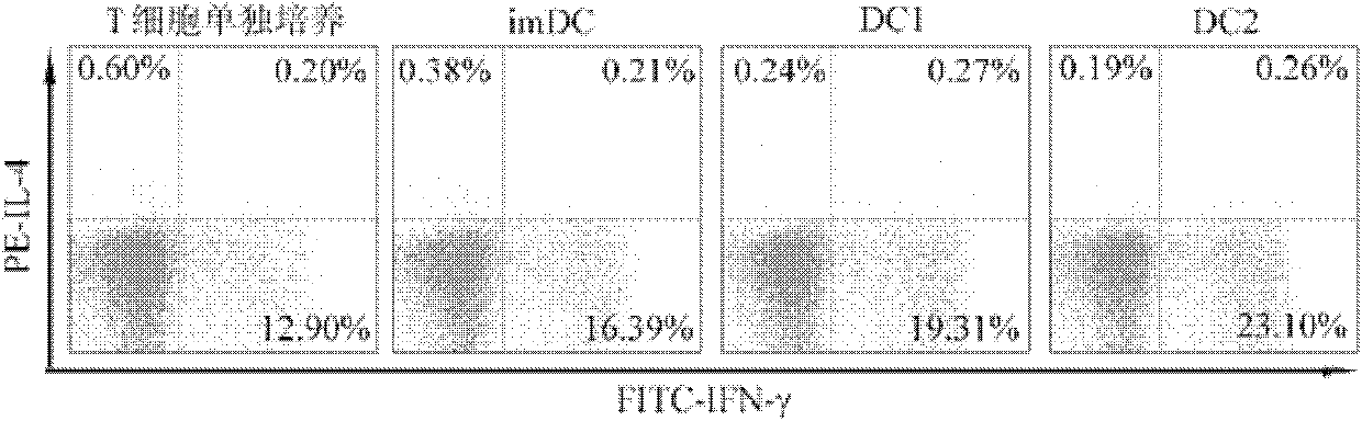 In vitro culture method for promoting maturation of dendritic cells and special culture medium for same