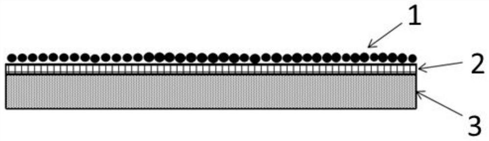 Environment-friendly coating with high corrosion resistance and preparation method thereof