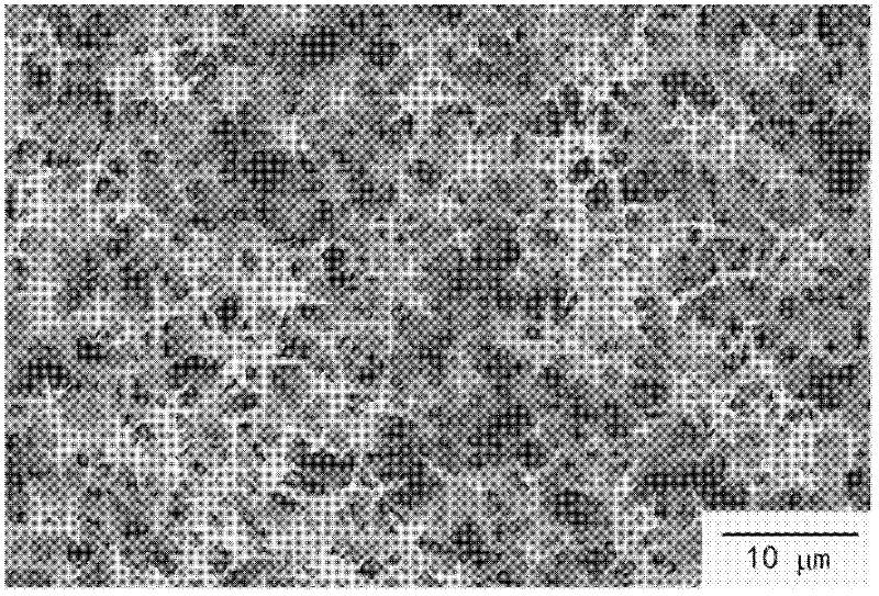 Biosensor base on zinc oxide and high electron mobility transistor and its preparation method