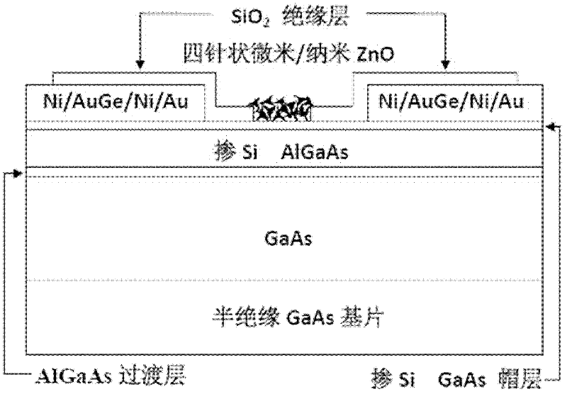 Biosensor base on zinc oxide and high electron mobility transistor and its preparation method