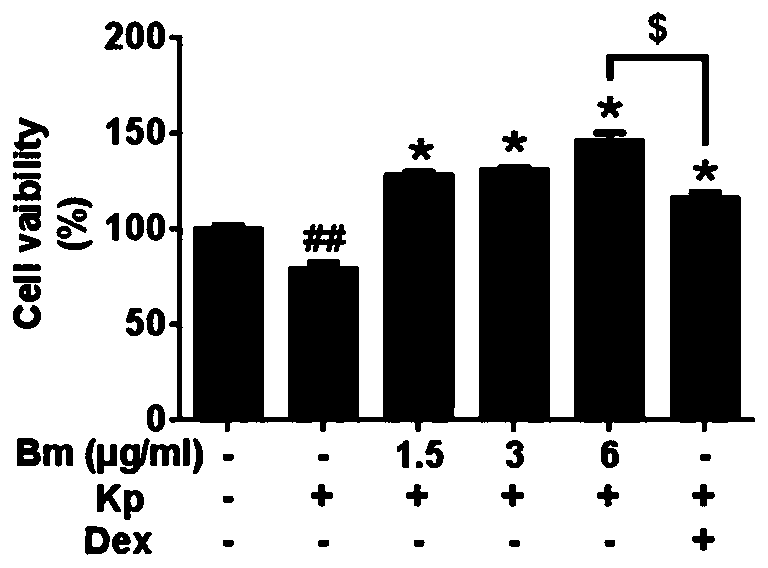 Application of bergenin in preparation of medicine for treating Klebsiella pneumoniae infection in vivo