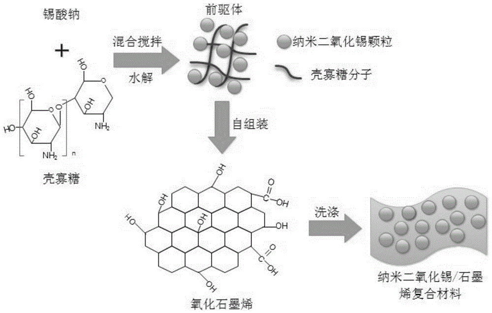 Method of preparing stannic oxide/graphene composite lithium ion battery anode material under the assistance of chitosan oligosaccharide self-assembly