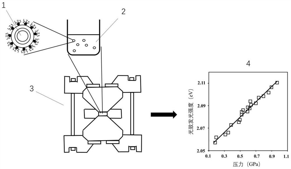 Method for measuring pressure of hydrodynamic force contact area by using quantum dots