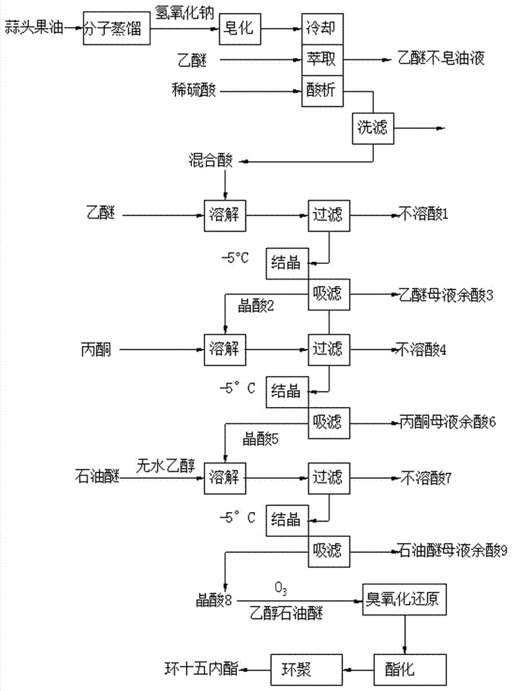 Method for preparing cyclopentadecanolide from malania oleifera oil