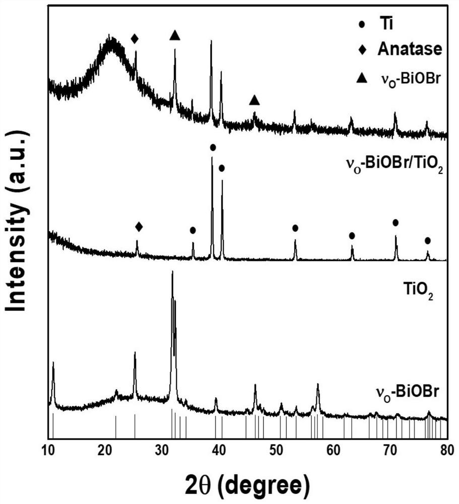 Oxygen hole-containing BiOBr/TiO2 nanotube array composite electrode and preparation method thereof, and application of BiOBr/TiO2 nanotube array composite electrode to photoelectrocatalytic nitrogen fixation