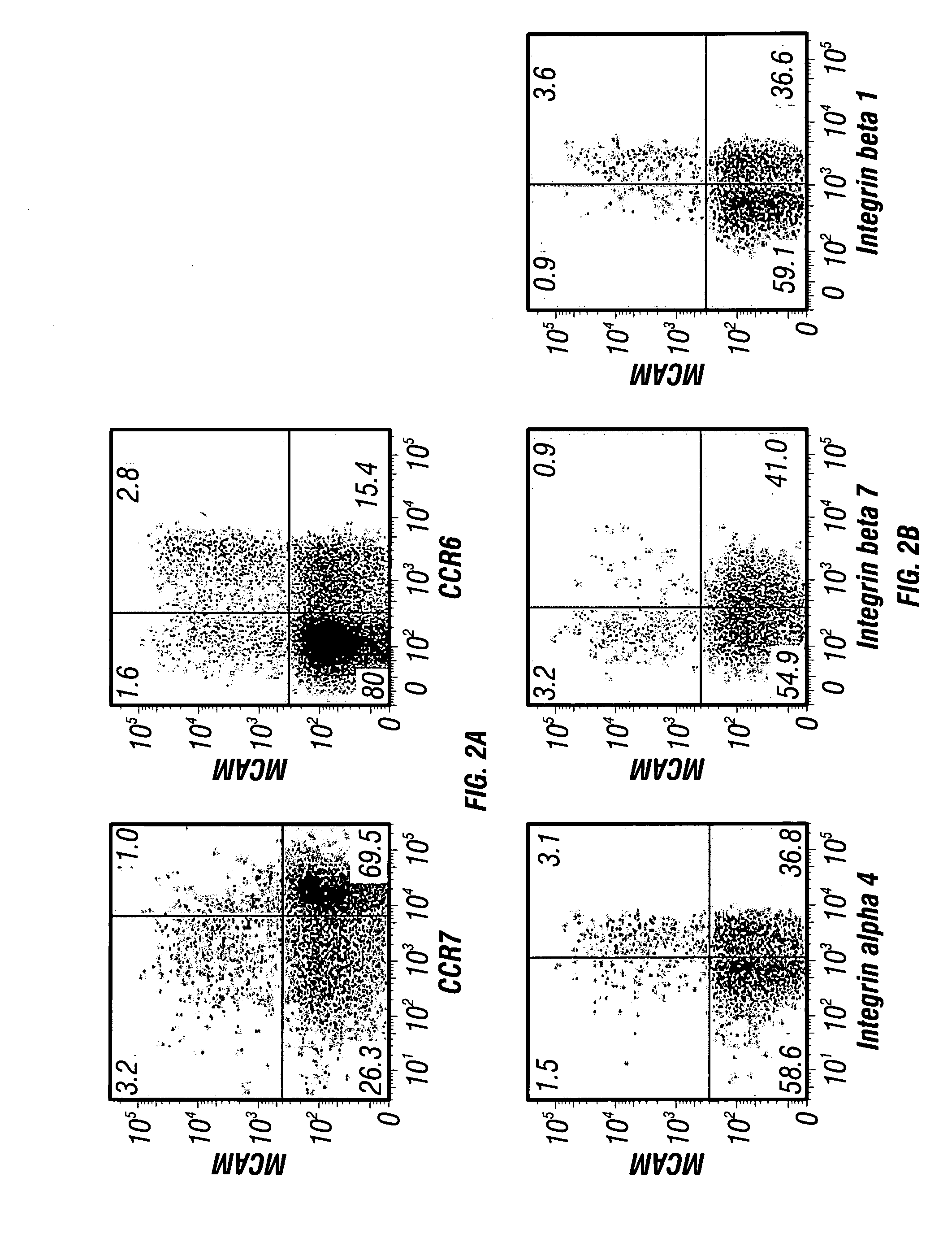 Mcam antagonists and methods of treatment