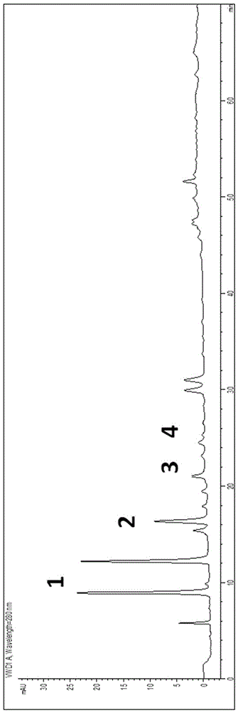 Method for determining components of common wedgelet fern herb by adopting quantitative analysis multi-components by single marker