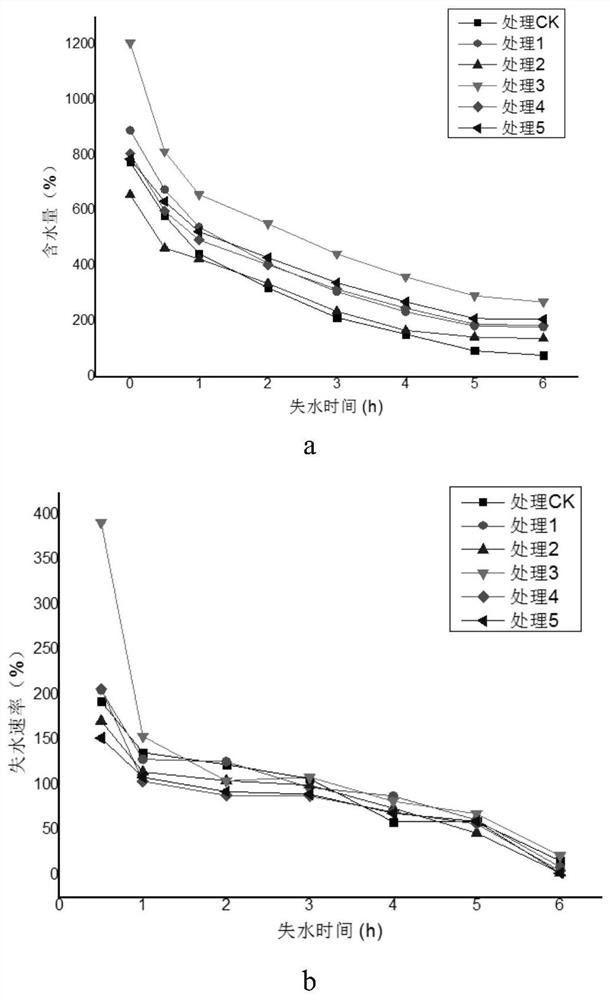 Tissue culture and rapid propagation method of cynanchum glaucescens