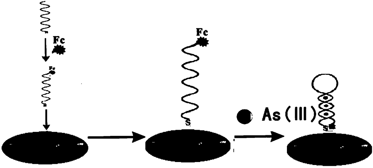 Electrochemical biosensor for detecting inorganic trivalent arsenic and detection method thereof