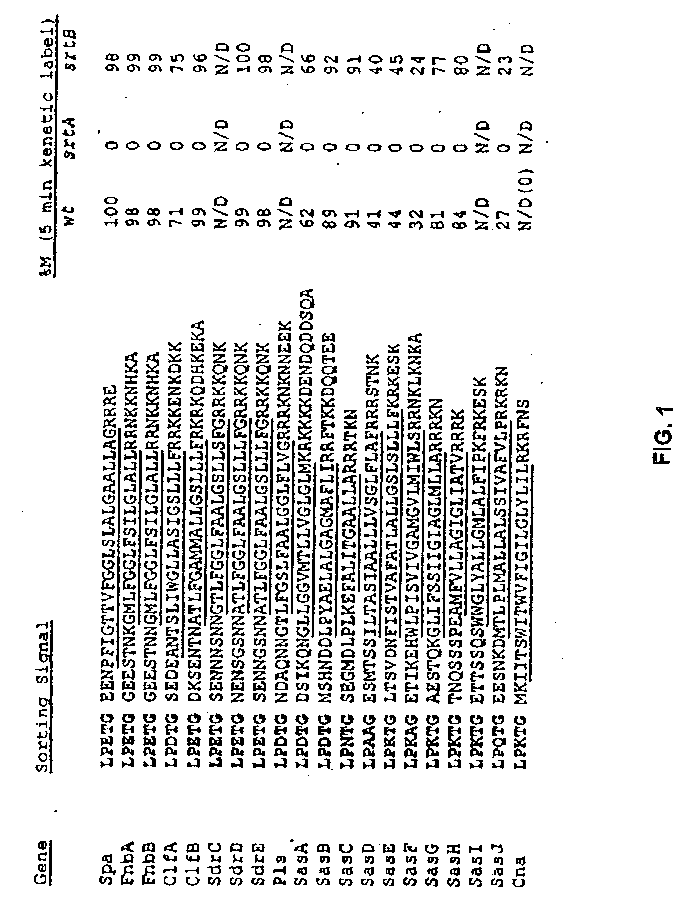 Methods and compositions involving sortase B