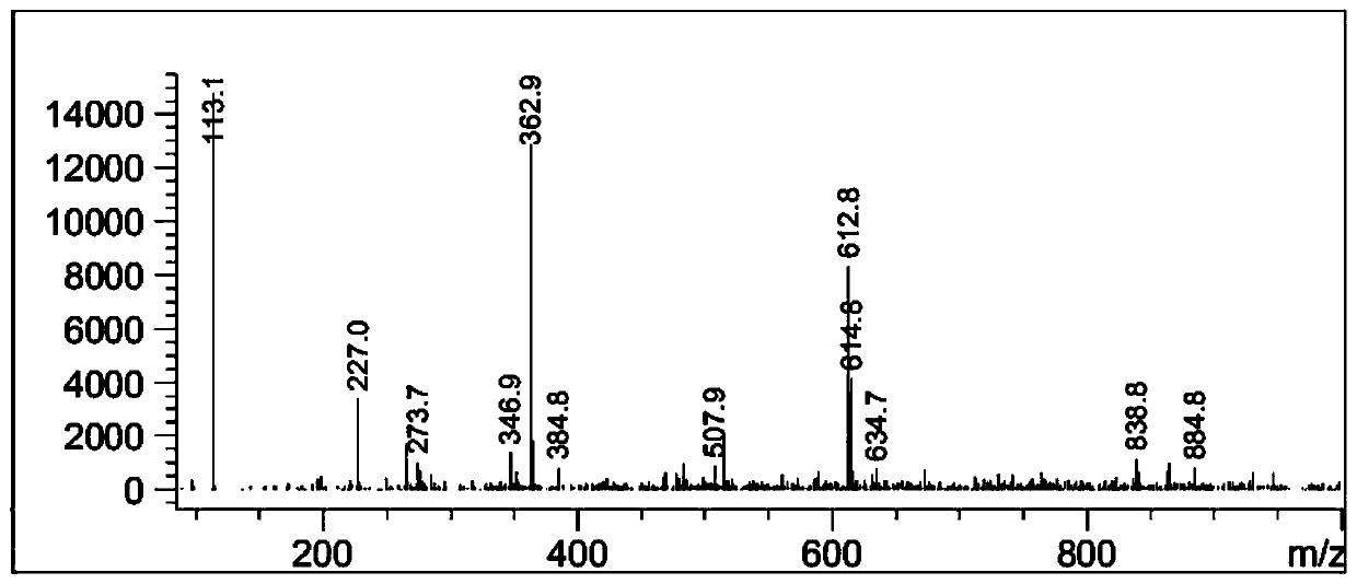 Preparation method of traditional Chinese medicine fermented anti-tumor active polypeptide oral liquid