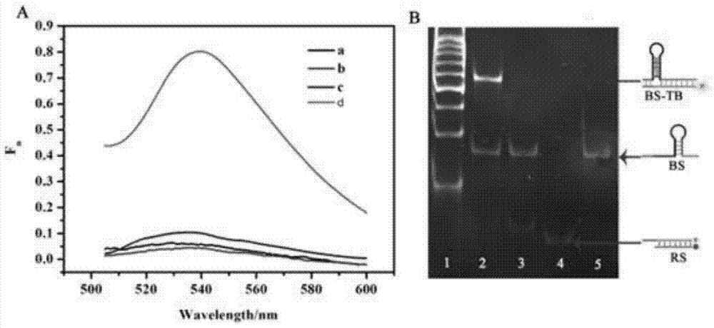 A suture toehold activation method and toolkit for regulated DNA strand displacement reactions