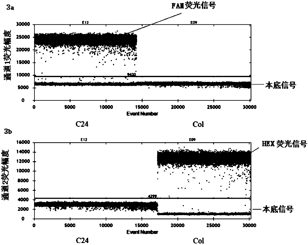 Method and equipment for detecting cytoplasmic inheritance